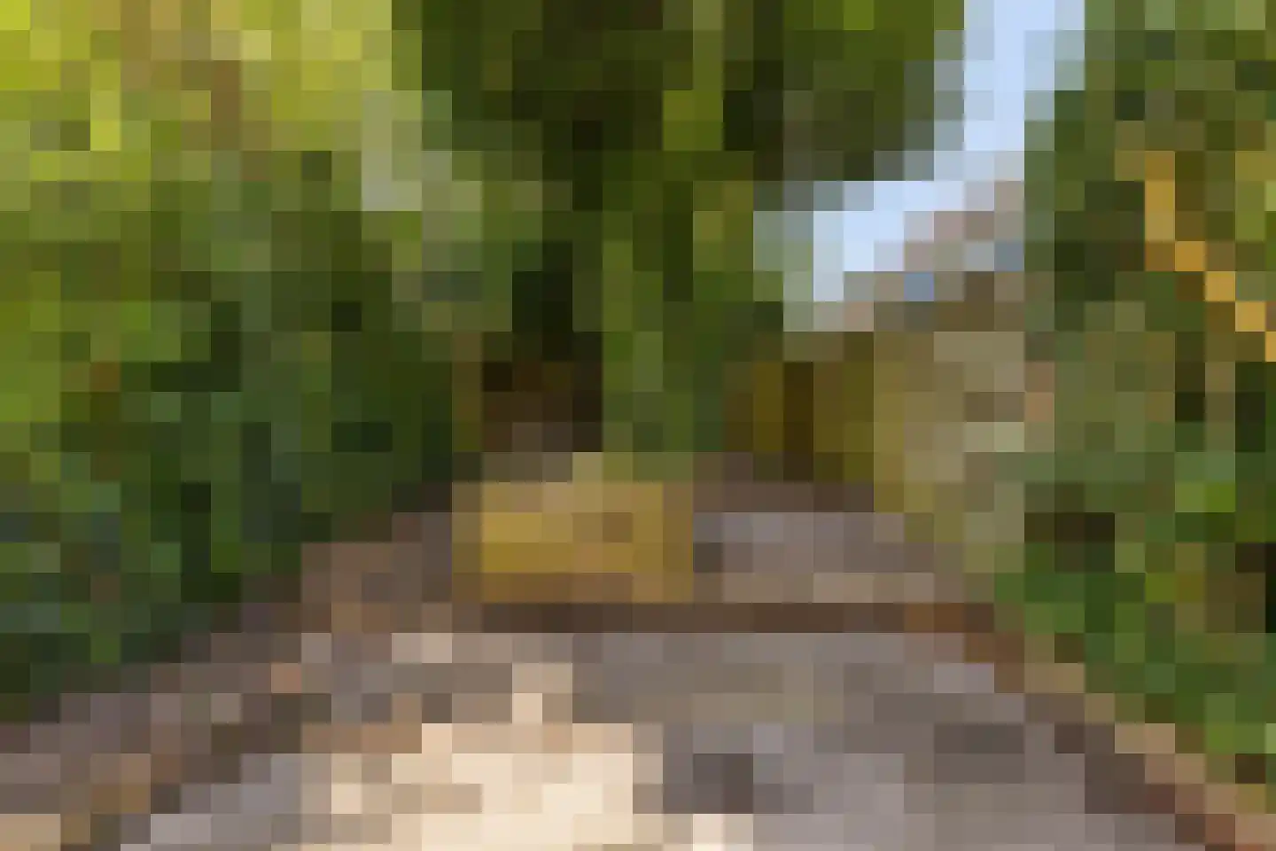 Turkooisstraat 18 Groningen thumbnail 27