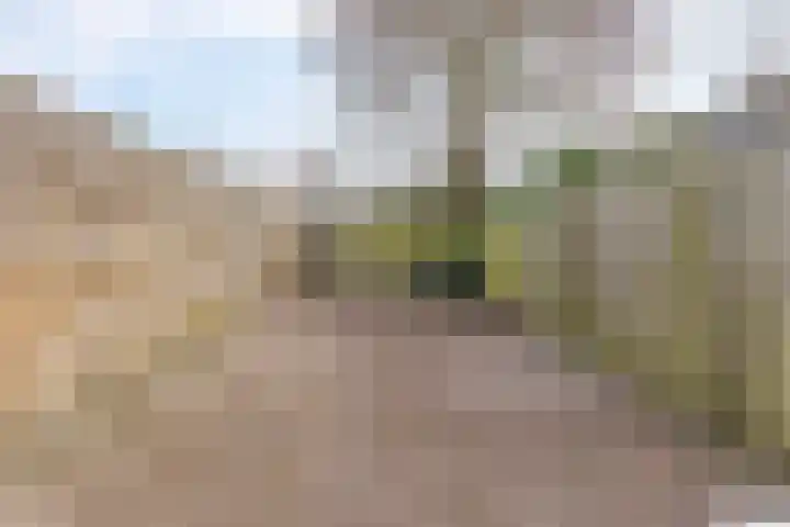 Turkooisstraat 21 Groningen thumbnail 27