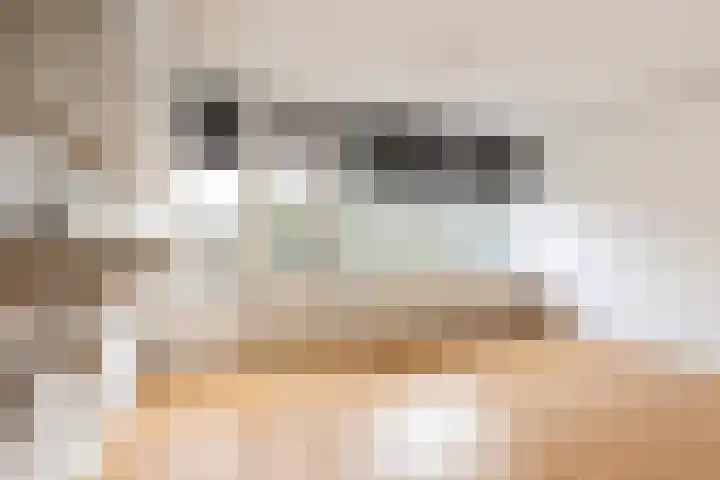 Turkooisstraat 21 Groningen thumbnail 4