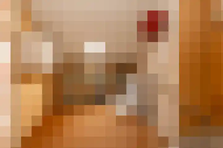 Turkooisstraat 35 Groningen thumbnail 30