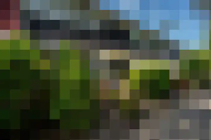 Turkooisstraat 35 Groningen thumbnail 42