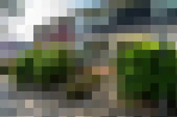 Turkooisstraat 35 Groningen thumbnail 43