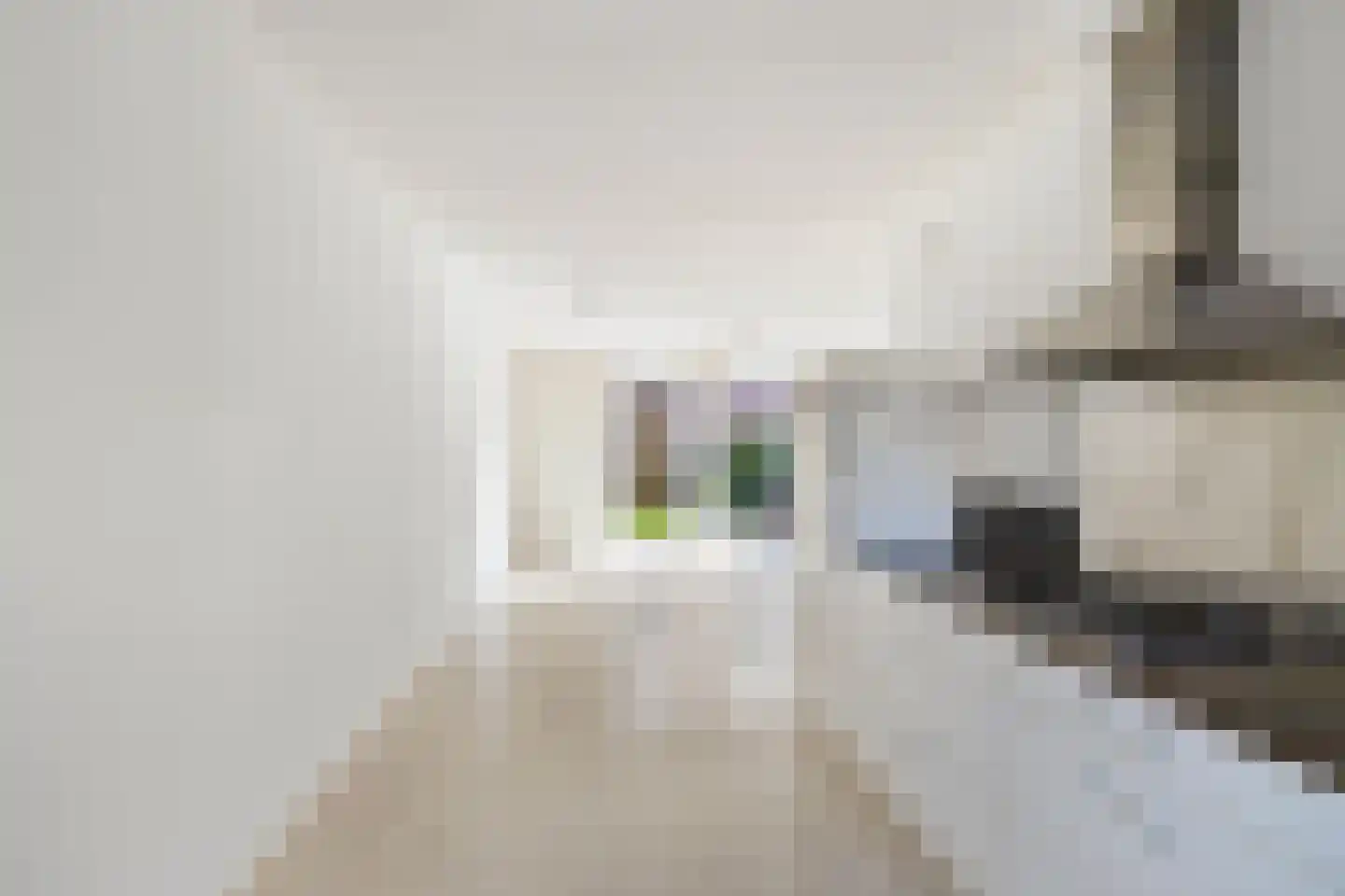 Turkooisstraat 6 c Groningen thumbnail 19