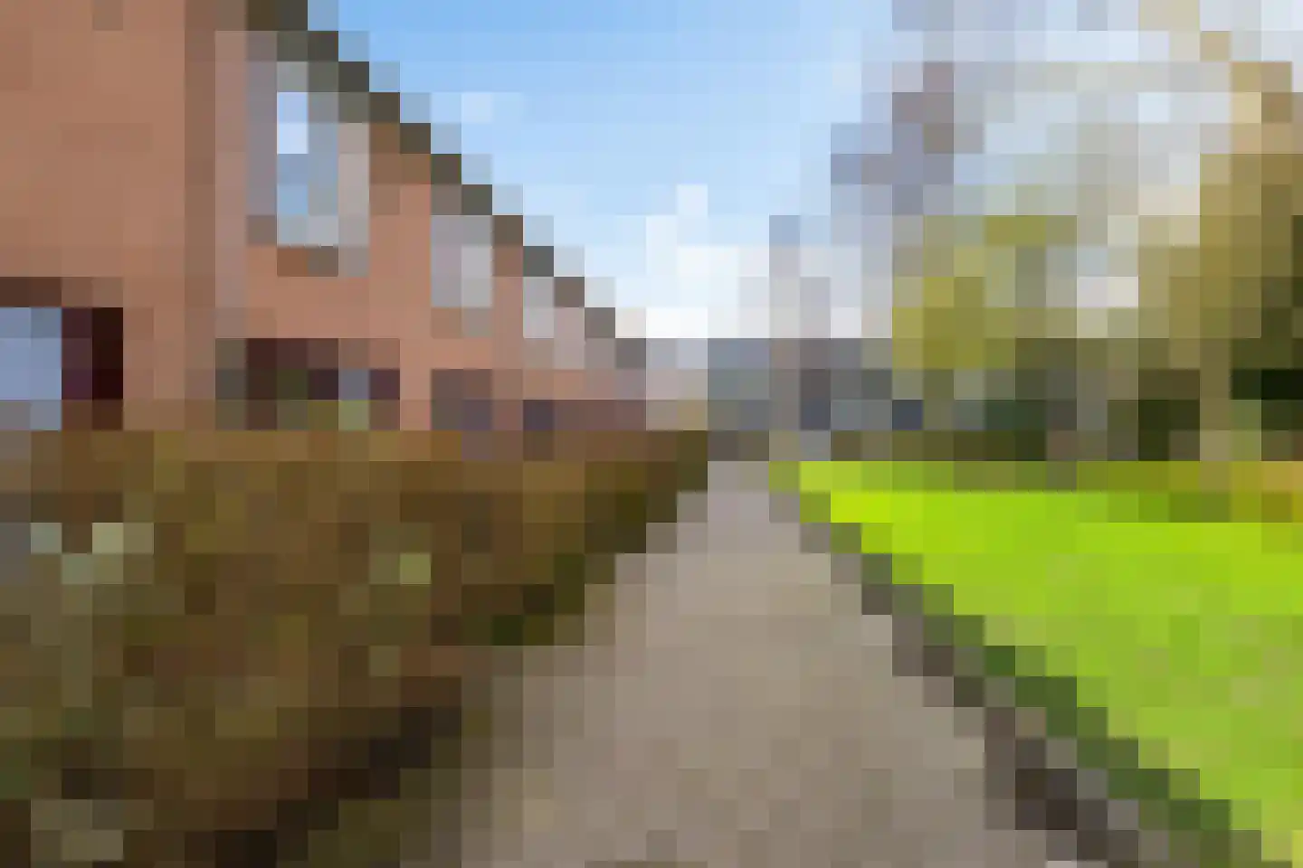 Turkooisstraat 6 c Groningen thumbnail 39