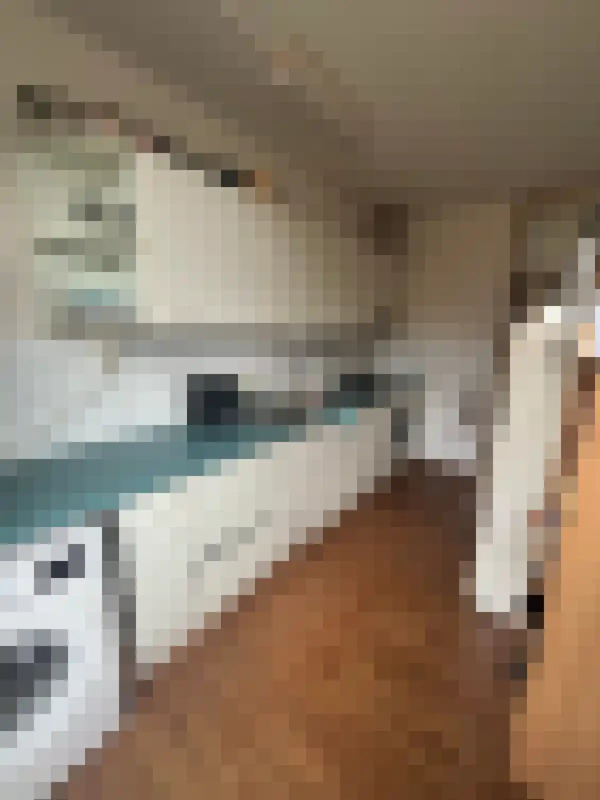 Turkooisstraat Groningen thumbnail 6