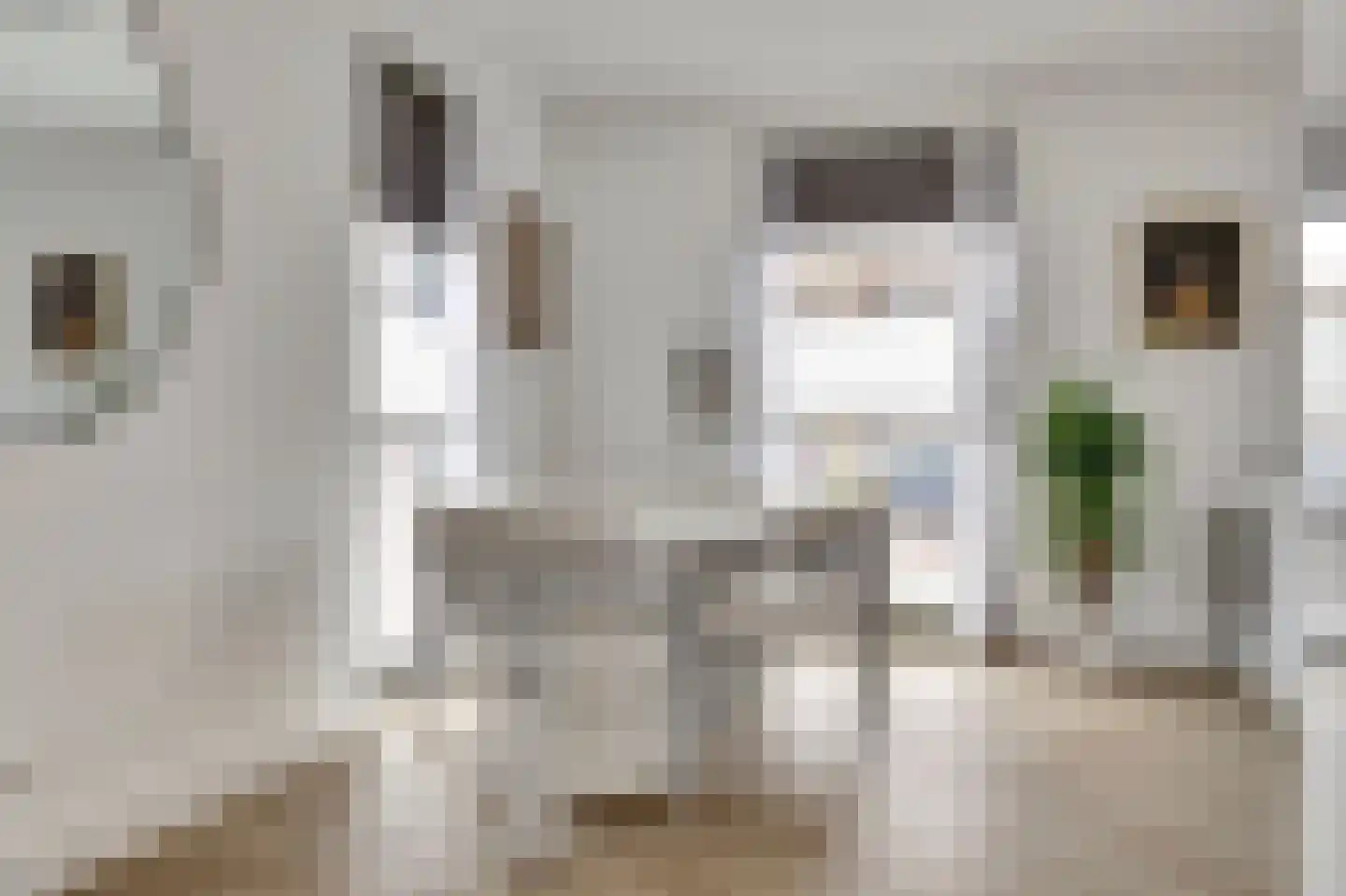 Turkse hazelaarstraat 10 Utrecht thumbnail 12