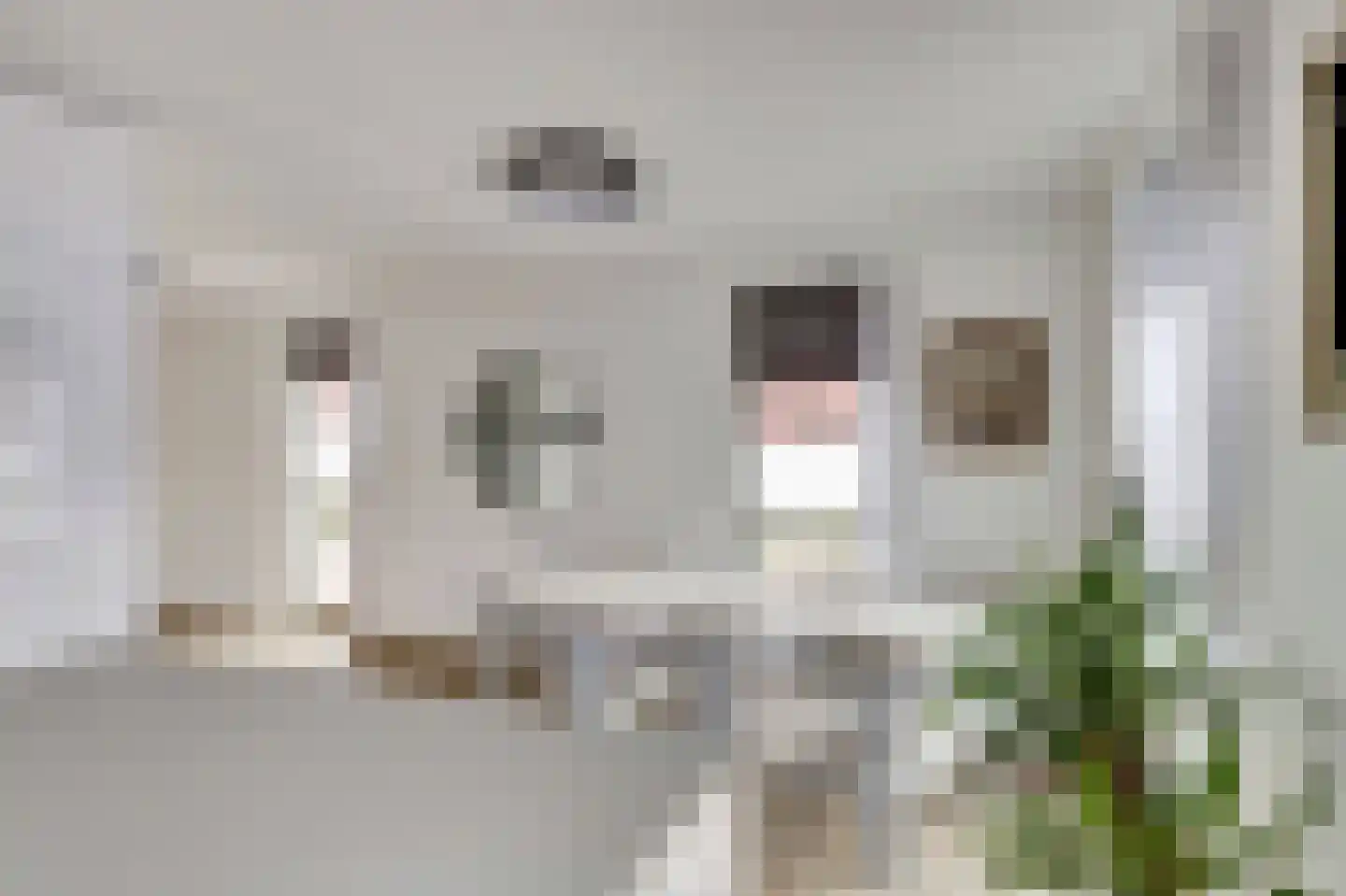 Turkse hazelaarstraat 10 Utrecht thumbnail 13
