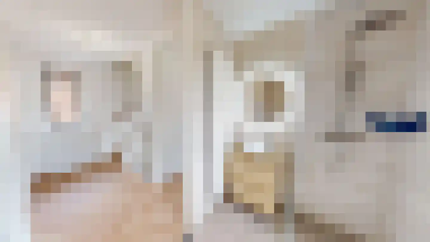Turkse hazelaarstraat 10 Utrecht thumbnail 34