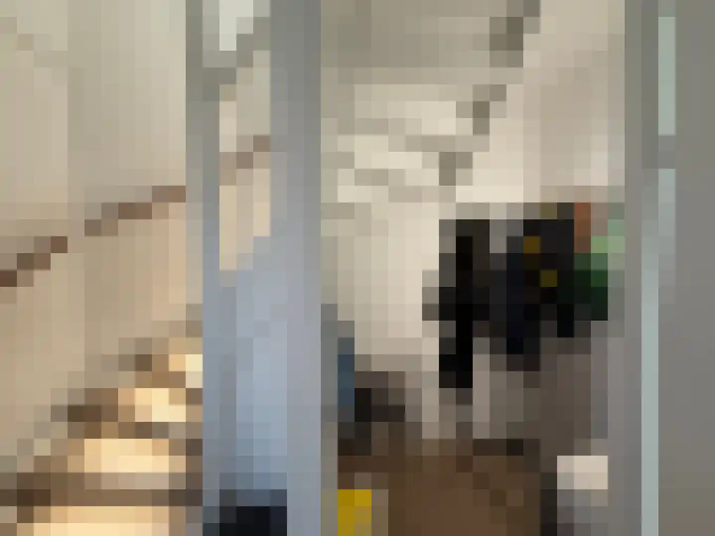 Turkse hazelaarstraat 10 Utrecht thumbnail 62