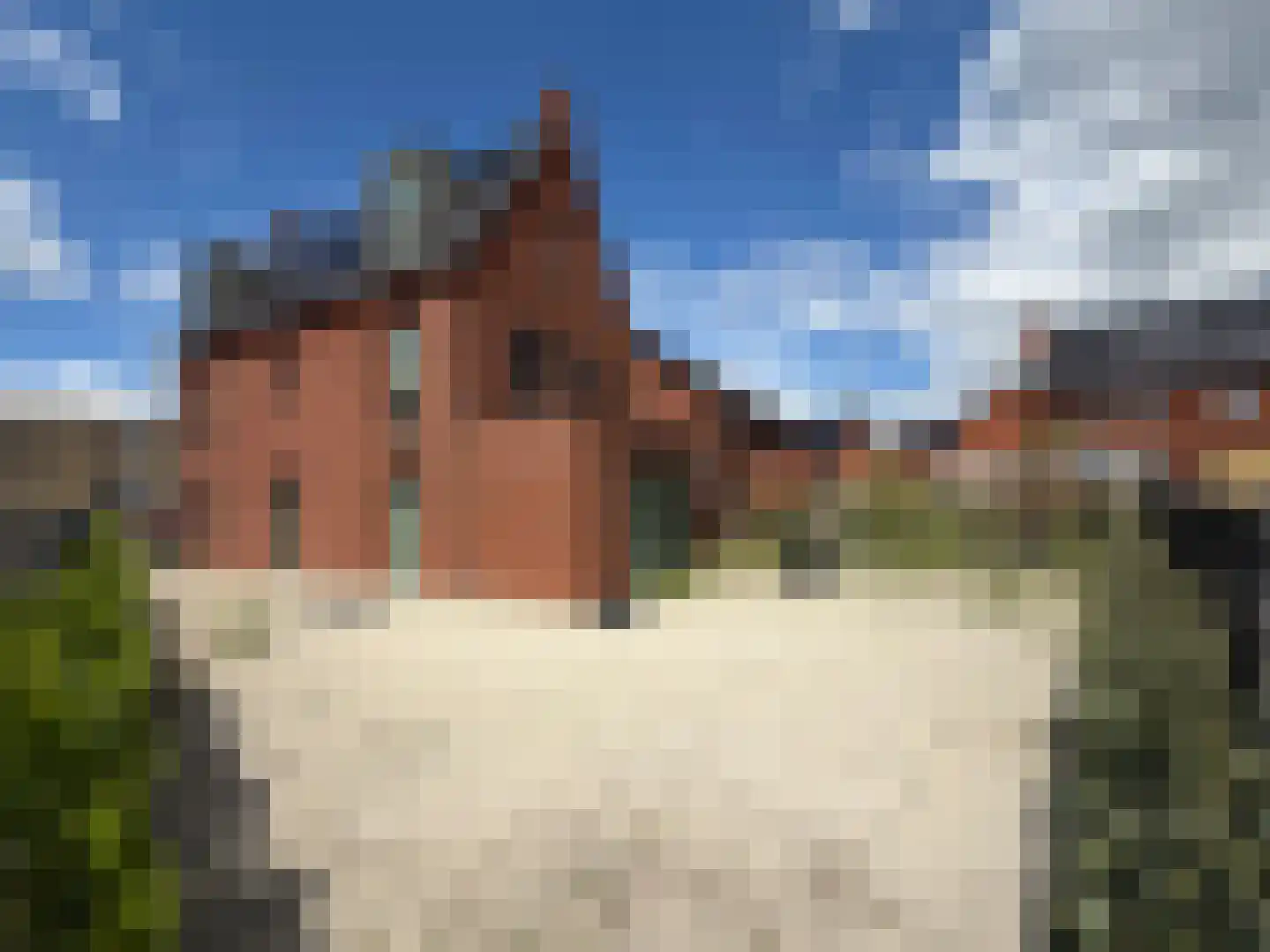 Turkse hazelaarstraat 10 Utrecht thumbnail 70
