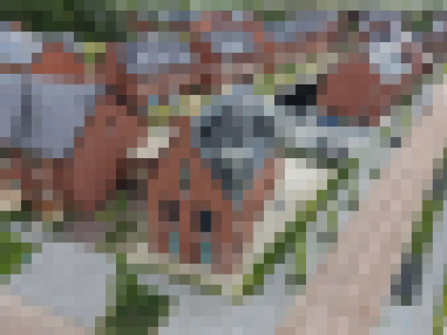 Turkse hazelaarstraat 10 Utrecht thumbnail 78