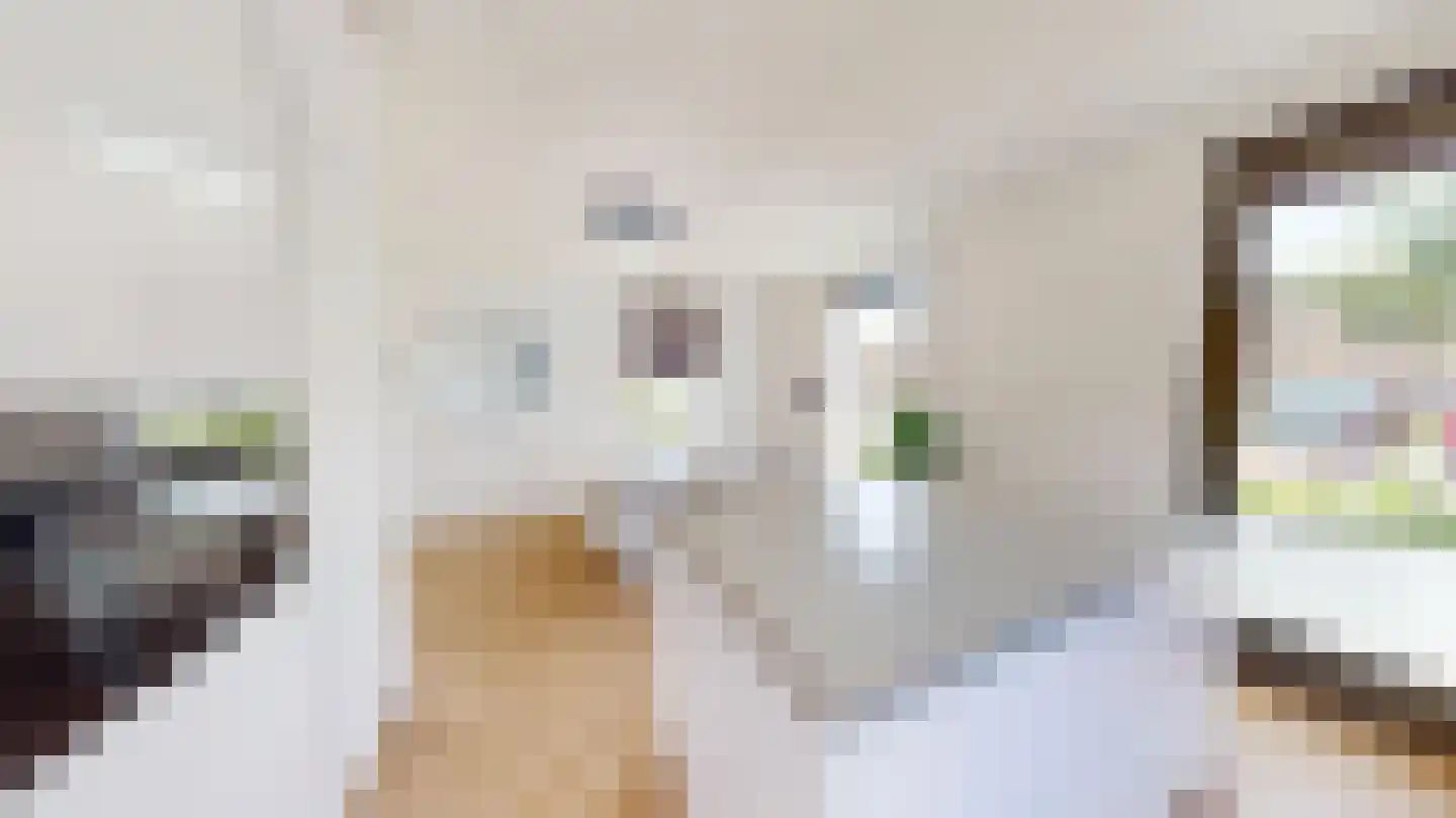 Turkse hazelaarstraat 10 Utrecht thumbnail 9