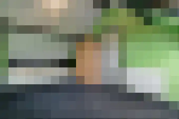 Turnerstraat 6 Zwolle thumbnail 32