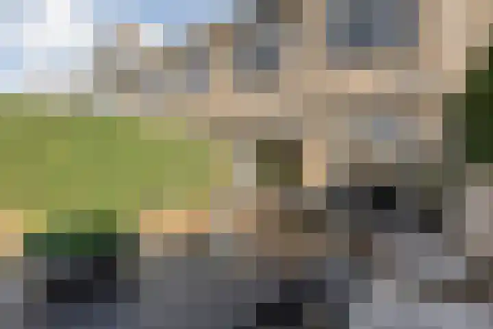 Turnerstraat 6 Zwolle thumbnail 34