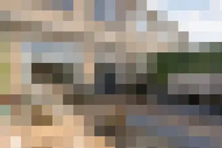 Turnerstraat 6 Zwolle thumbnail 35
