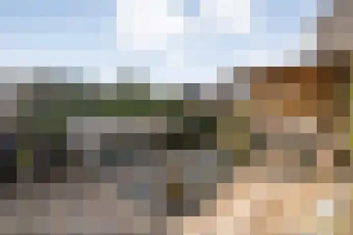 Turnerstraat 6 Zwolle thumbnail 37