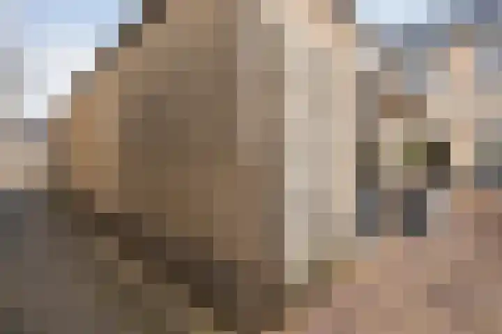 Turnerstraat 6 Zwolle thumbnail 41