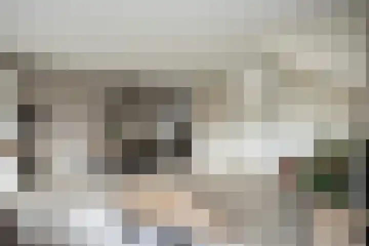 Turnerstraat 8 Zwolle thumbnail 4