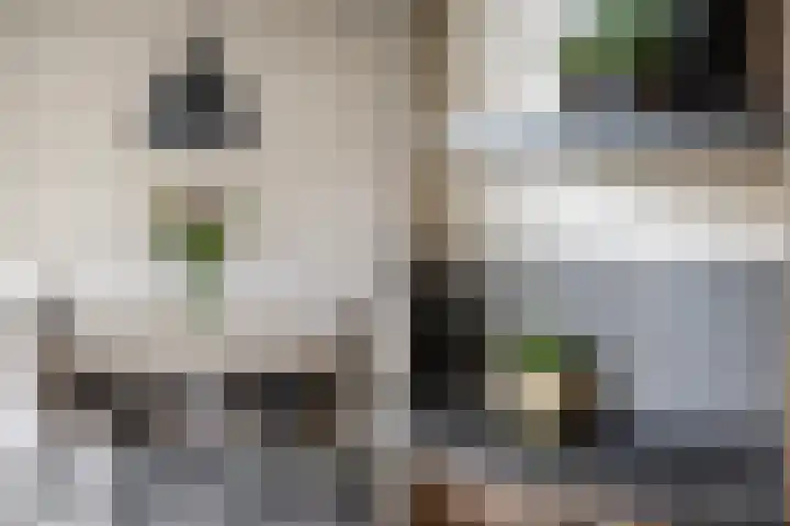 Turnerstraat 8 Zwolle thumbnail 7