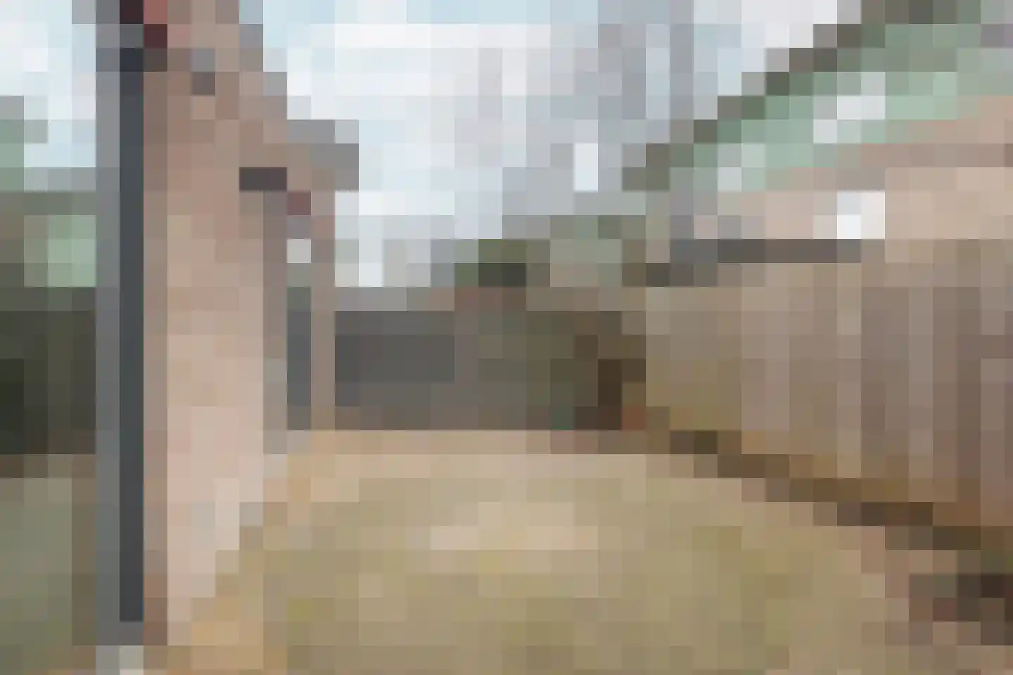 Turnhoutplantsoen 128 Amsterdam thumbnail 14