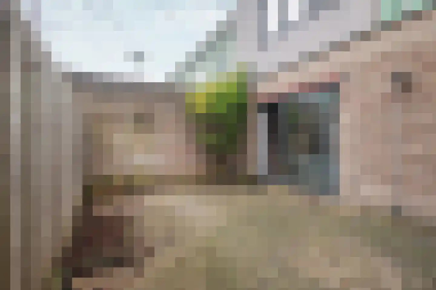 Turnhoutplantsoen 128 Amsterdam thumbnail 17
