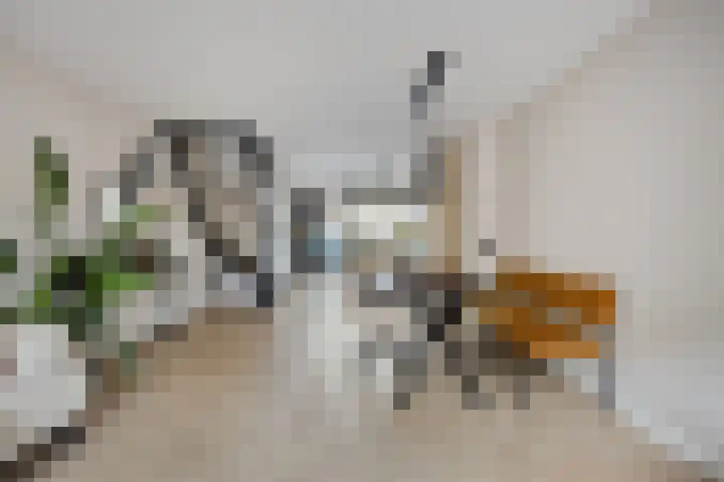 Turnhoutplantsoen 156 Amsterdam thumbnail 16