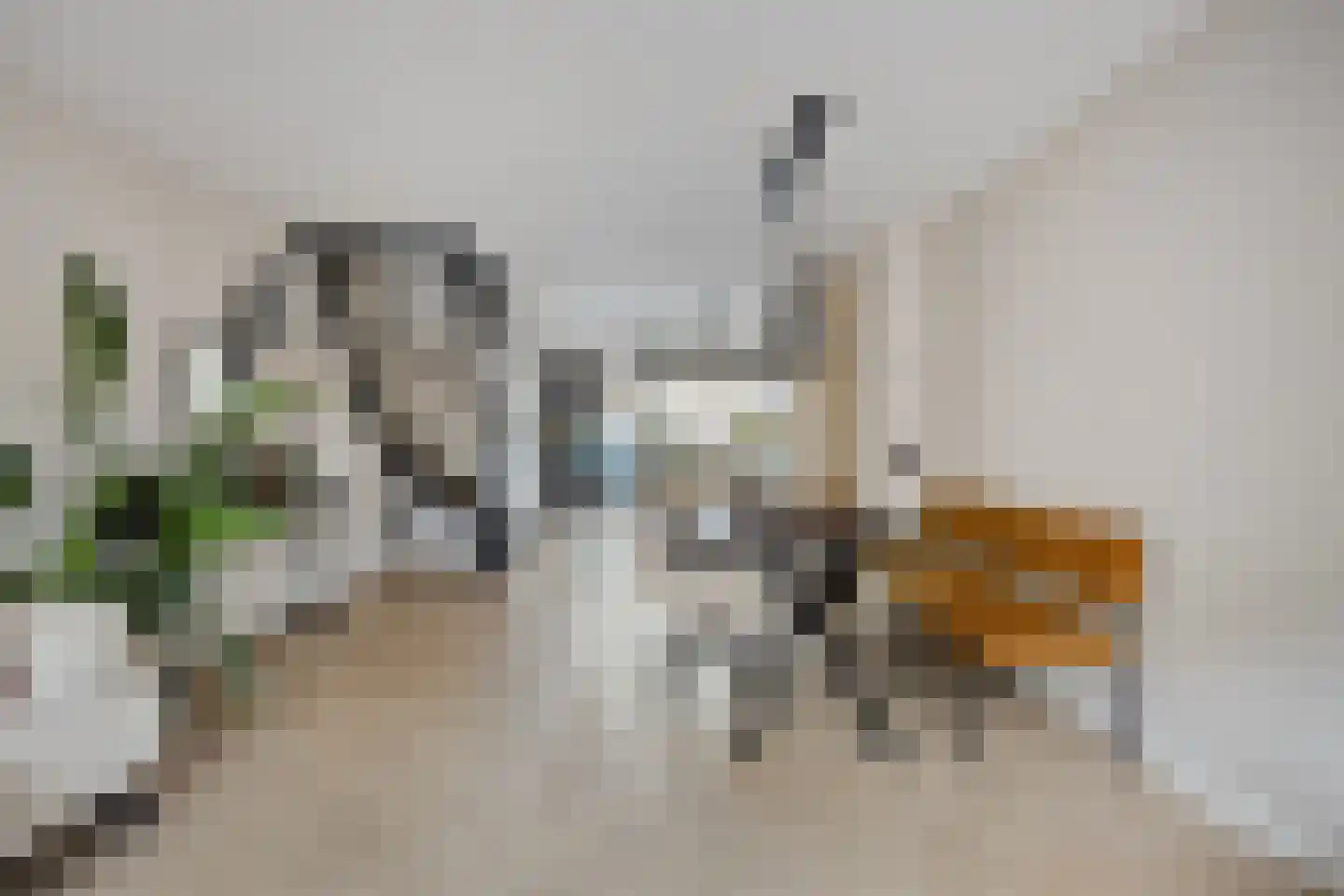 Turnhoutplantsoen 156 Amsterdam thumbnail 16