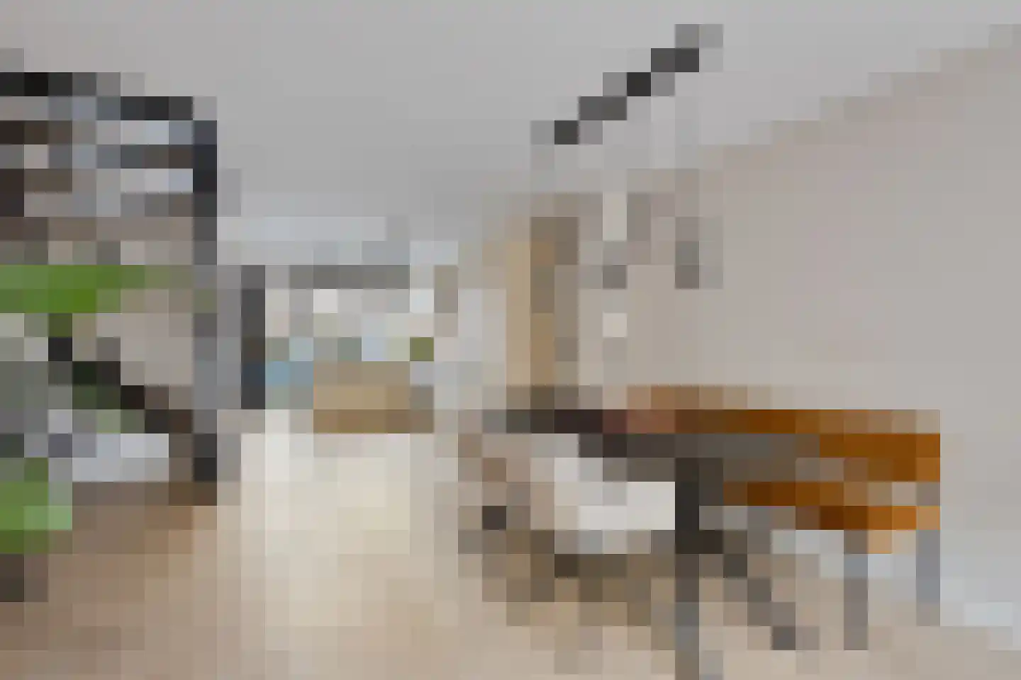 Turnhoutplantsoen 156 Amsterdam thumbnail 17