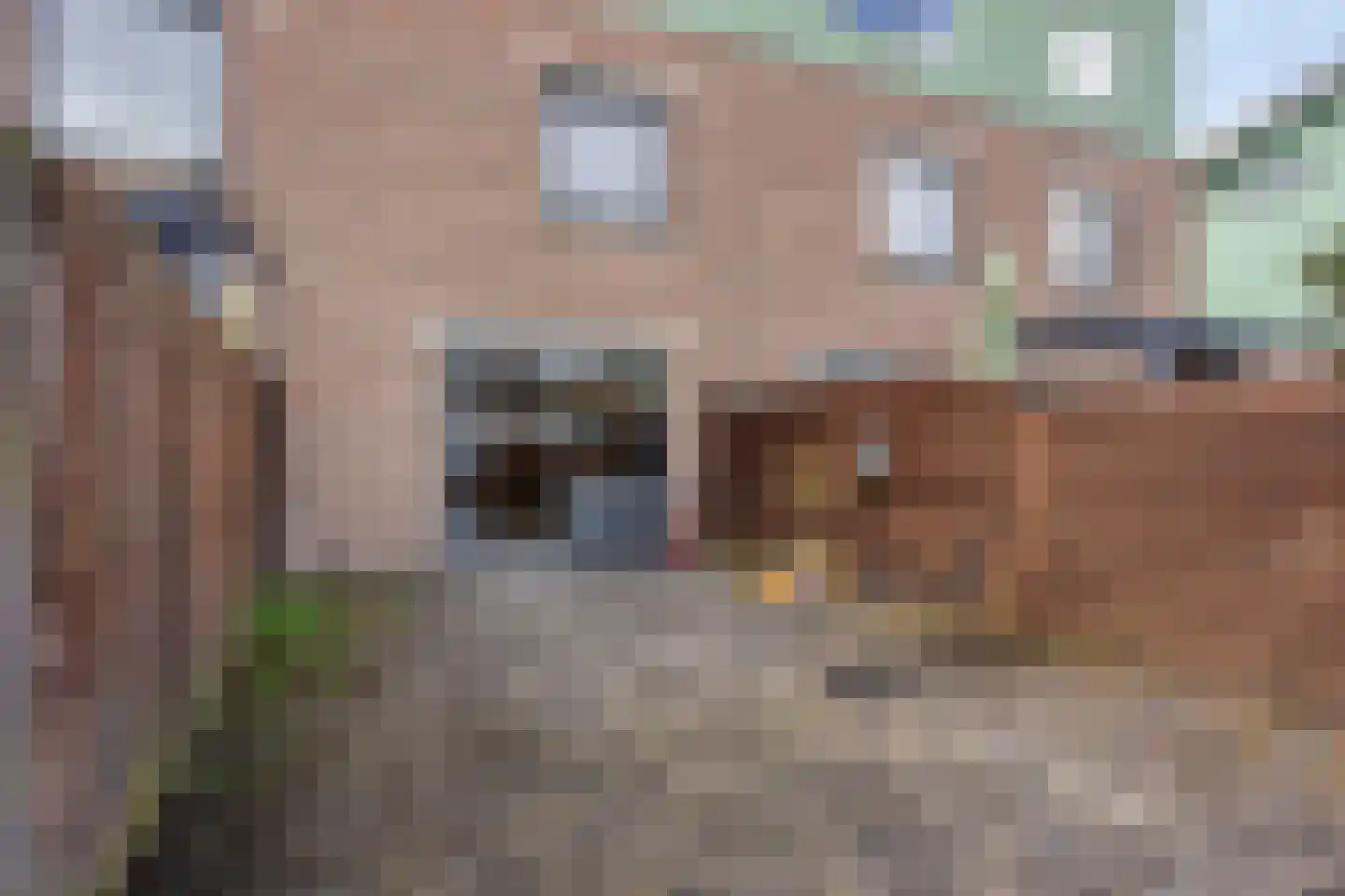 Turnhoutplantsoen 156 Amsterdam thumbnail 38