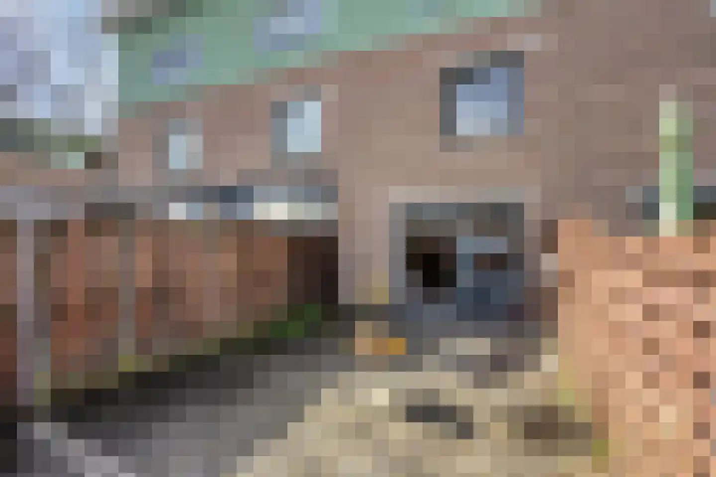 Turnhoutplantsoen 156 Amsterdam thumbnail 39