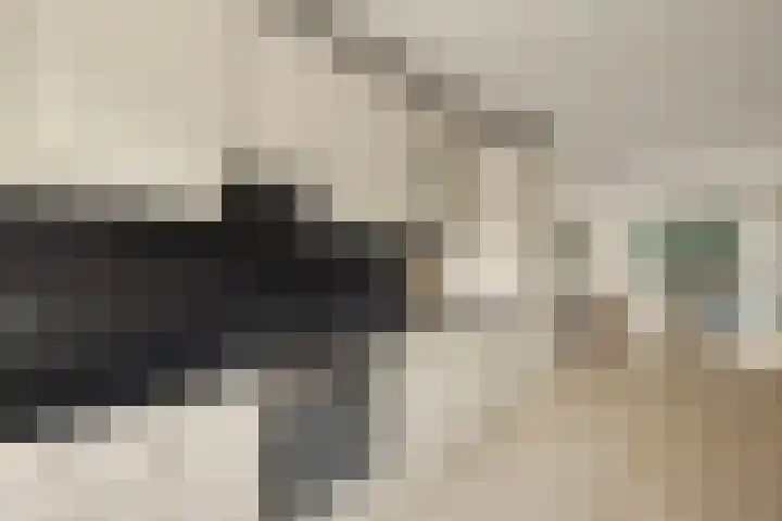 Turnhoutplantsoen 186 Amsterdam thumbnail 12