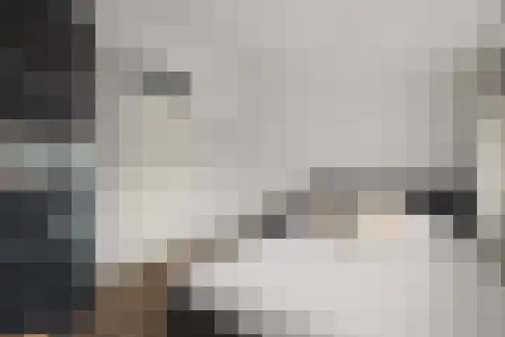 Turnhoutplantsoen 186 Amsterdam thumbnail 17