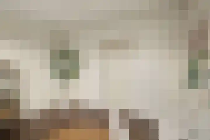 Turnhoutplantsoen 186 Amsterdam thumbnail 27