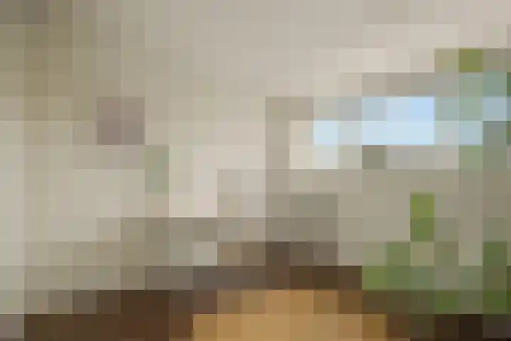 Turnhoutplantsoen 186 Amsterdam thumbnail 28