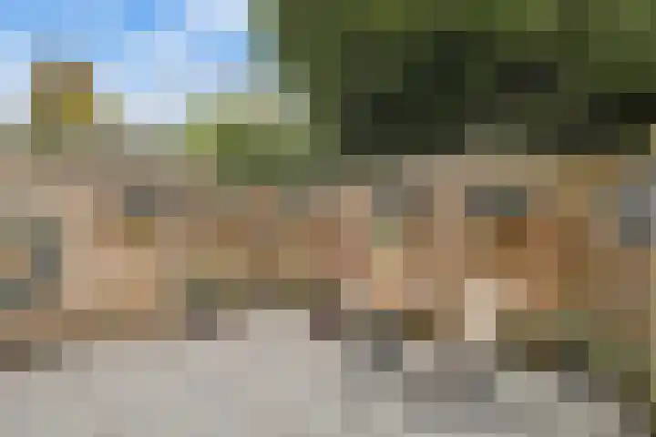 Turnhoutplantsoen 186 Amsterdam thumbnail 30