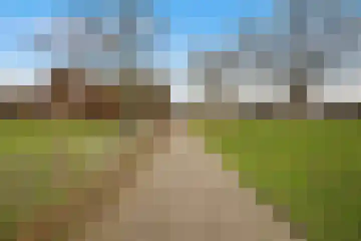 Turnhoutplantsoen 186 Amsterdam thumbnail 35