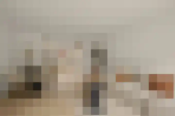 Turnhoutplantsoen 186 Amsterdam thumbnail 8