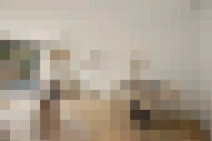 Turnhoutplantsoen 186 Amsterdam thumbnail 9