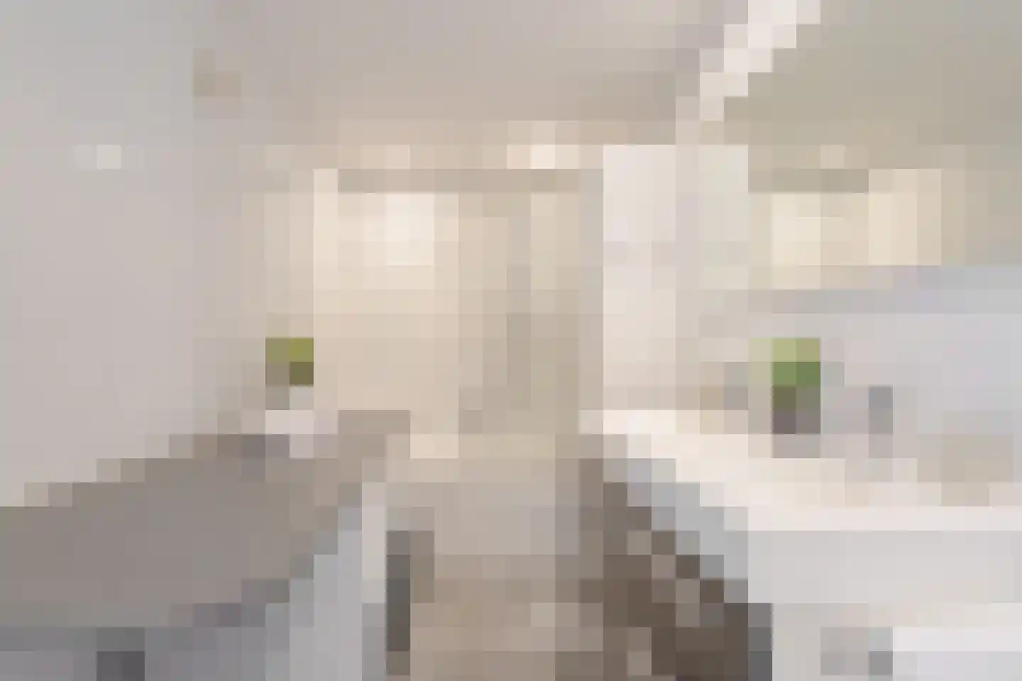 Turnhoutplantsoen 19 Amsterdam thumbnail 27