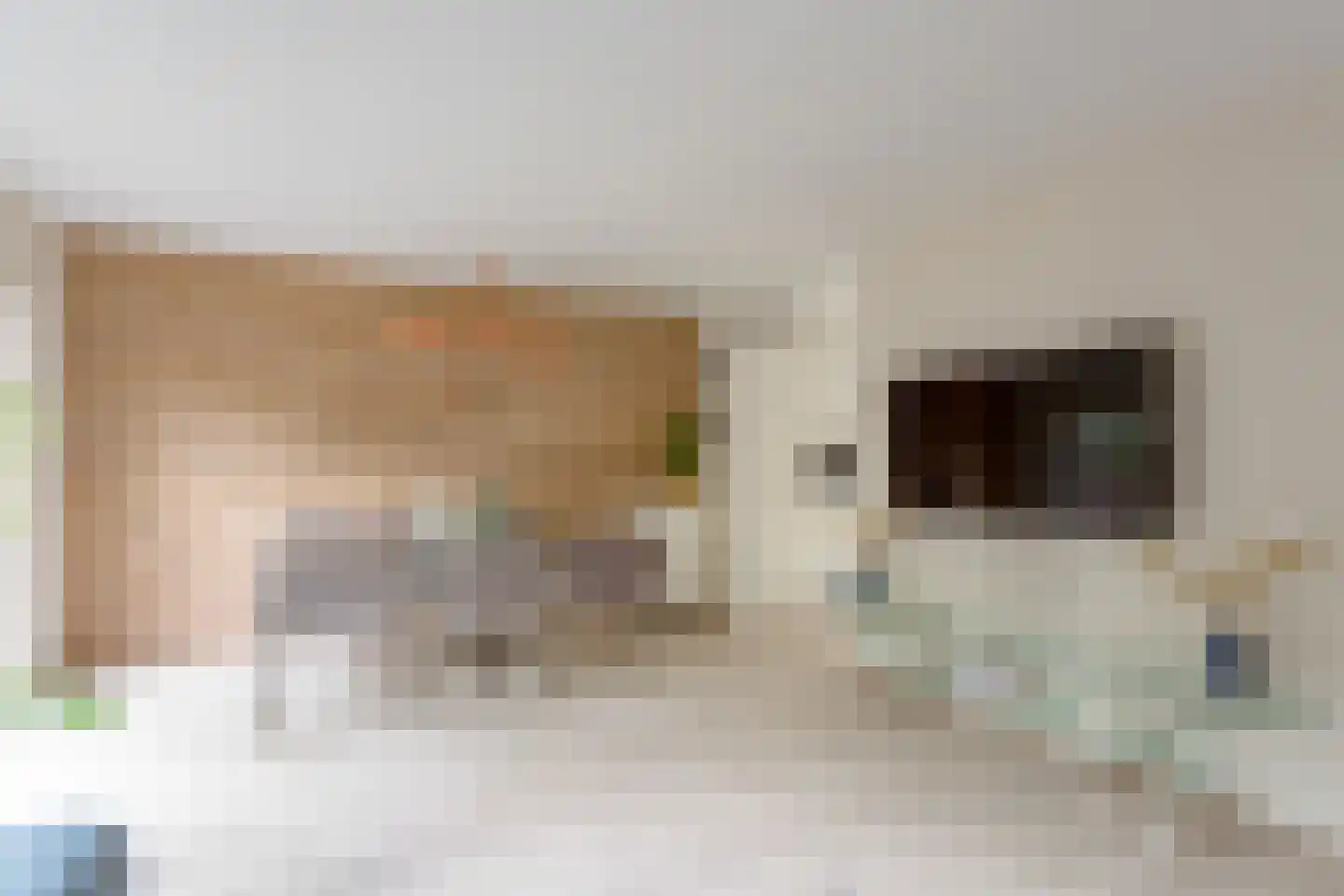 Turnhoutplantsoen 19 Amsterdam thumbnail 9