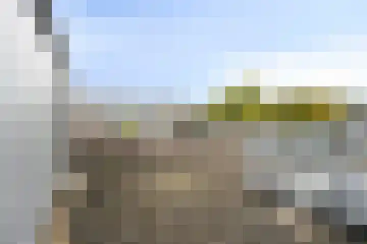 Turnhoutplantsoen 35 Amsterdam thumbnail 26