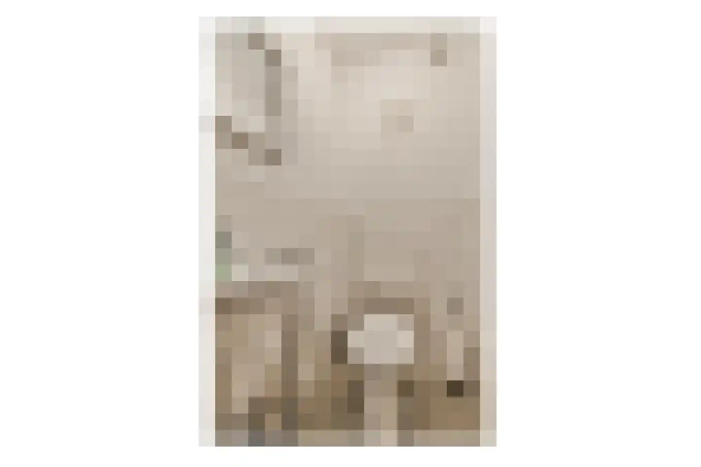 Turnhoutplantsoen 43 Amsterdam thumbnail 10
