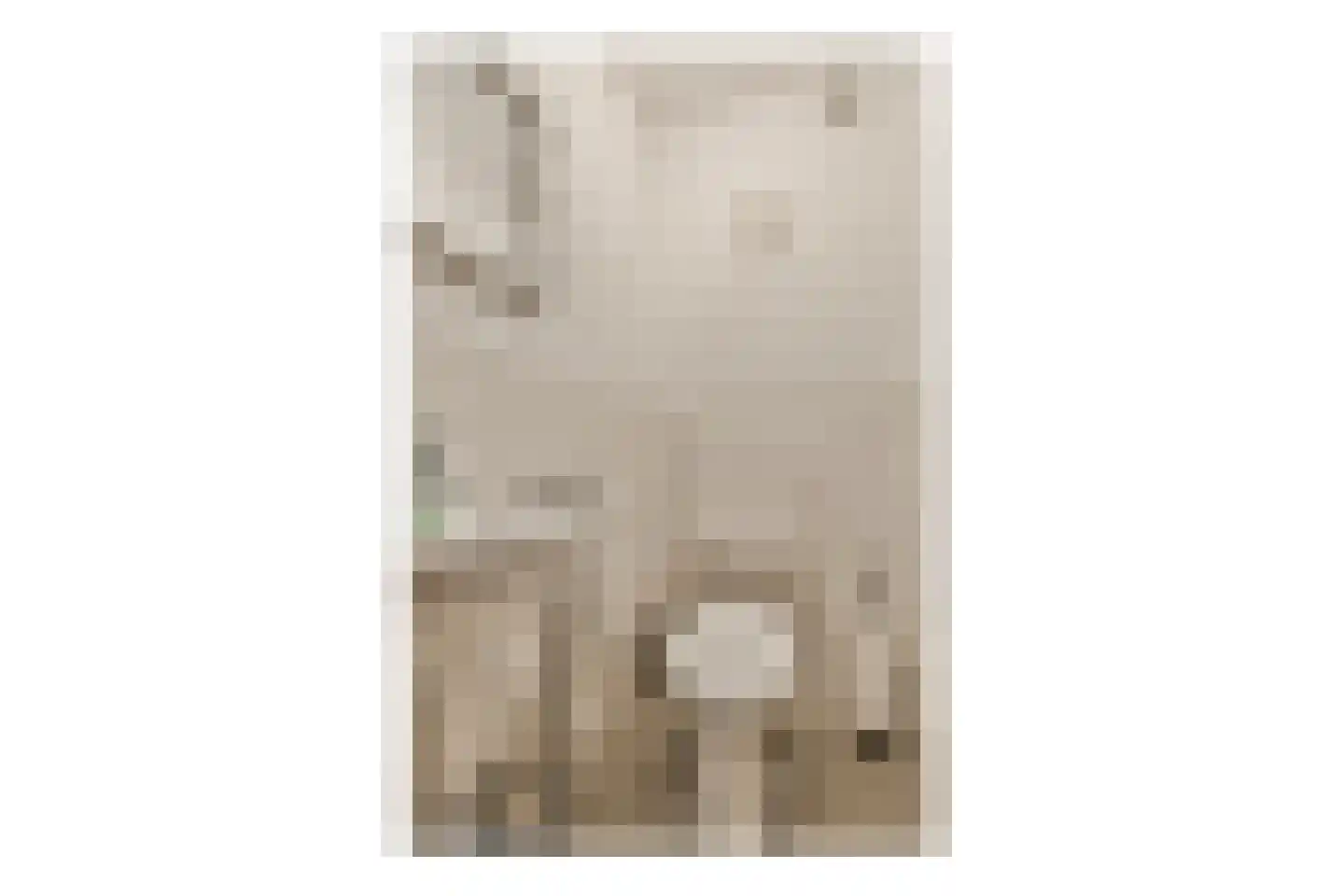Turnhoutplantsoen 43 Amsterdam thumbnail 9