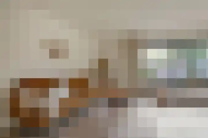 Turnhoutplantsoen 47 Amsterdam thumbnail 11