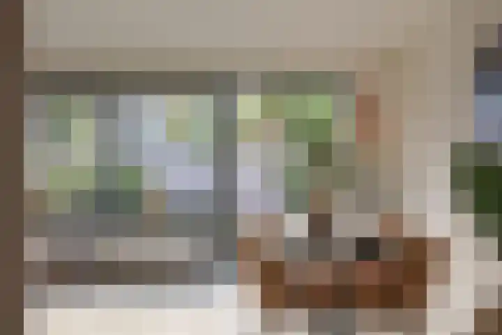 Turnhoutplantsoen 47 Amsterdam thumbnail 15