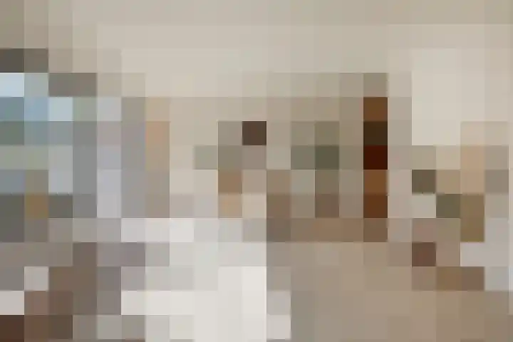Turnhoutplantsoen 47 Amsterdam thumbnail 19