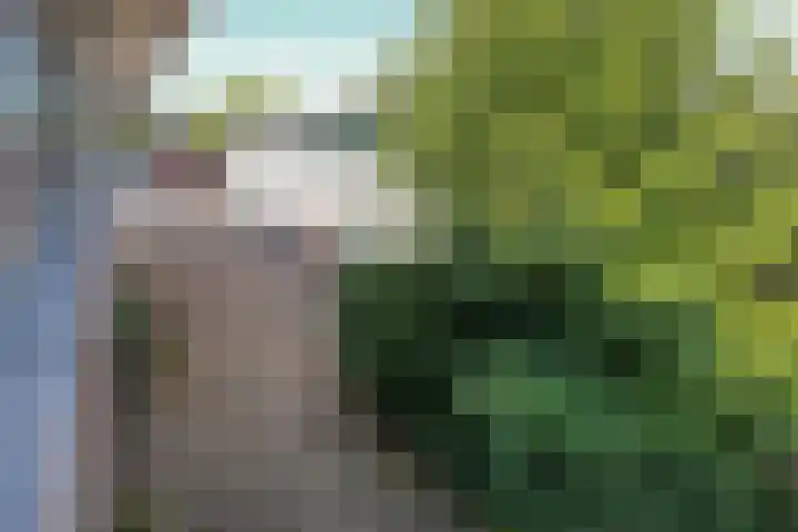Turnhoutplantsoen 47 Amsterdam thumbnail 26
