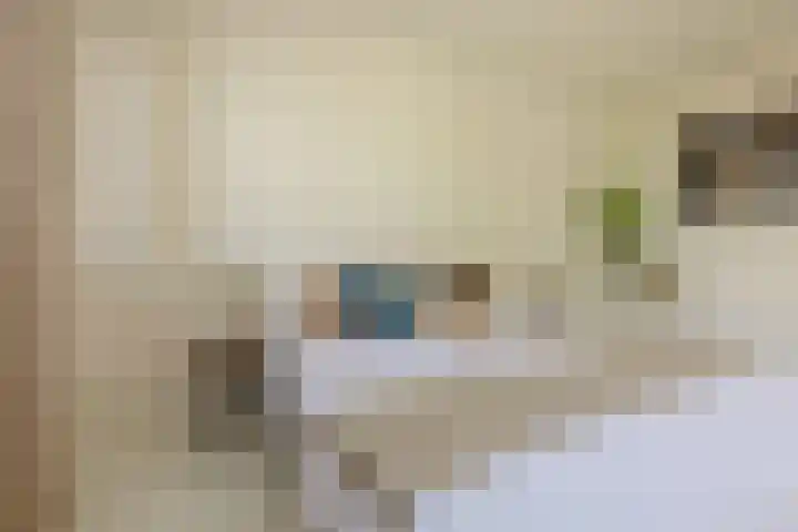Turnhoutplantsoen 47 Amsterdam thumbnail 28
