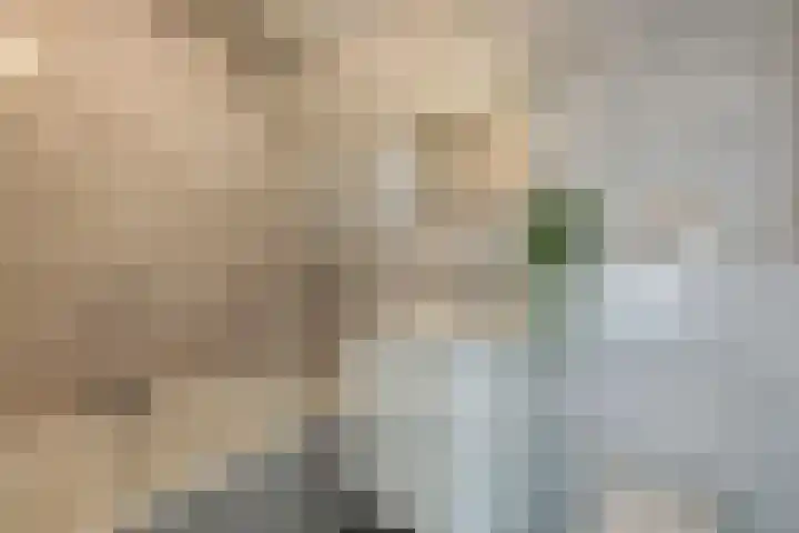 Turnhoutplantsoen 47 Amsterdam thumbnail 35
