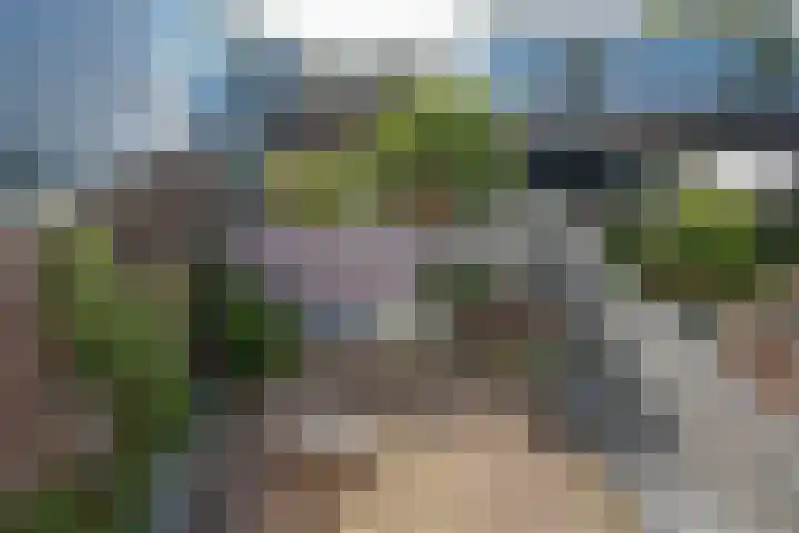Turnhoutplantsoen 47 Amsterdam thumbnail 37